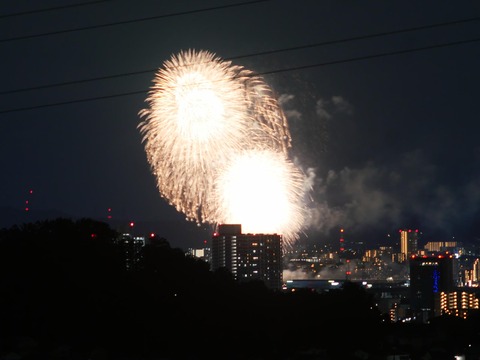 20260920くらわんか花火 (190)