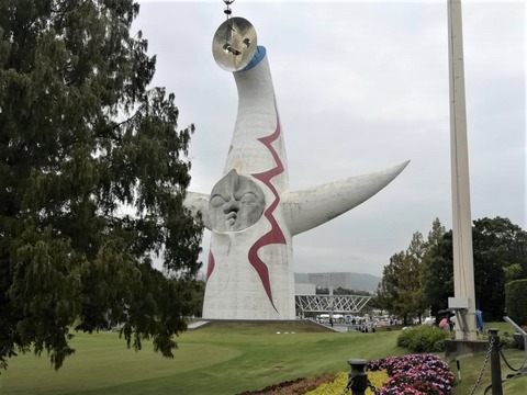20221009万博記念公園 (9)