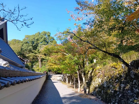 20251029神峯山寺 (8)