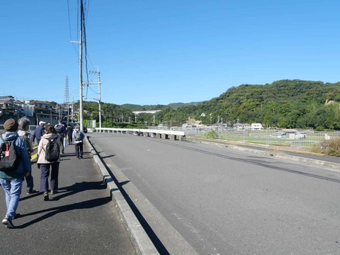 20241111タチソ (16)