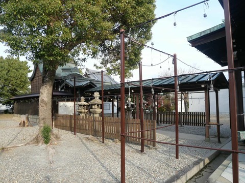 20241230三島鴨神社 (6)