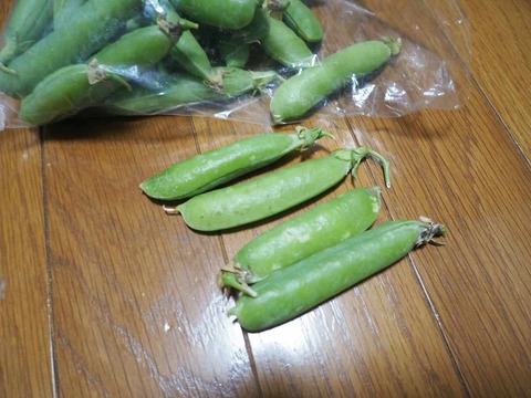 20250515山手一番街 (6)