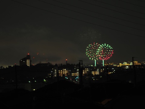 20221126万博花火 (31)