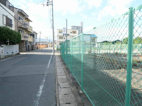 20241104淀城 (92)