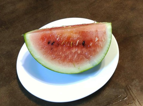20220730スイカ (2)
