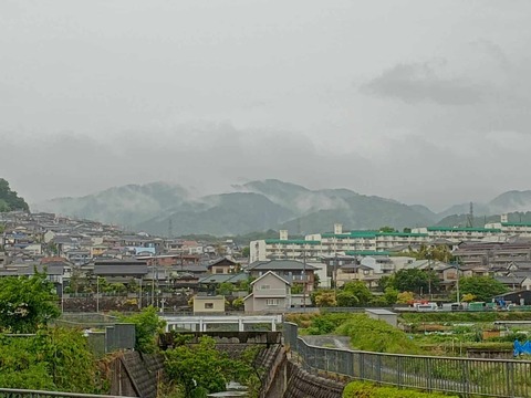 20250509ポンポン山 (4)