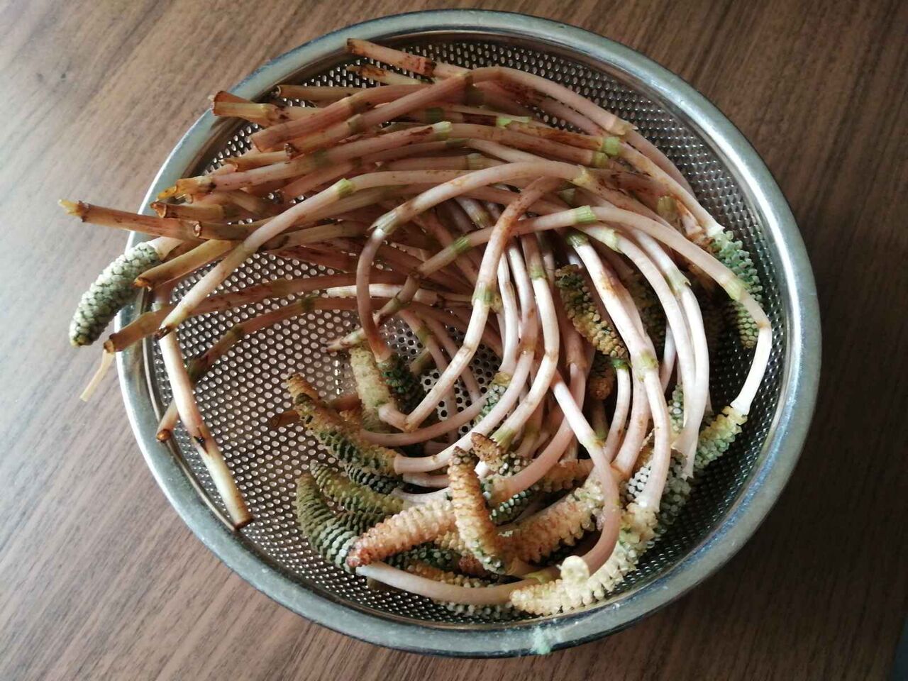 高槻の食材 その40 つくしの煮物を作ってみる 高槻network新聞 高槻の食材 その40 つくしの煮物を作ってみる 高槻network新聞
