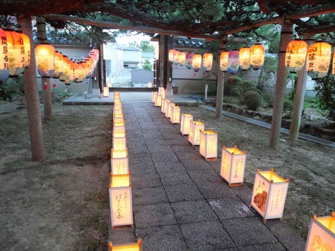 20240824清蓮寺 (10)