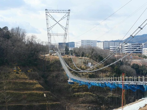 20250206吊り橋 (22)