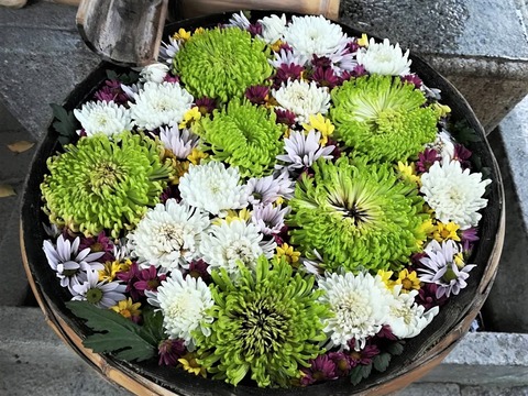 20220906野見神社 (1)