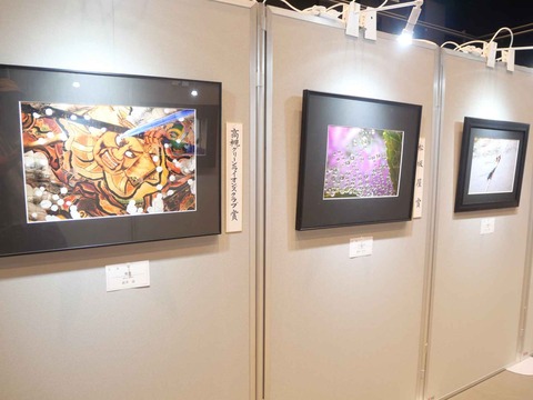 20240921高槻市美術展 (41)