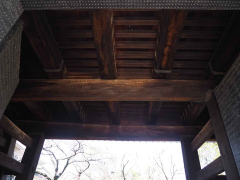20230319大阪城公園 (10)