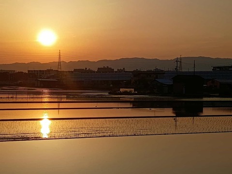 20250605夕日西面 (12)