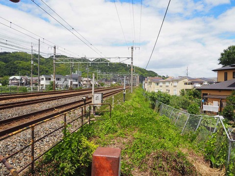 20220729島本大山崎 (5)