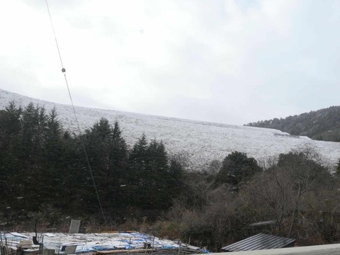 20260131府道6号 (2)