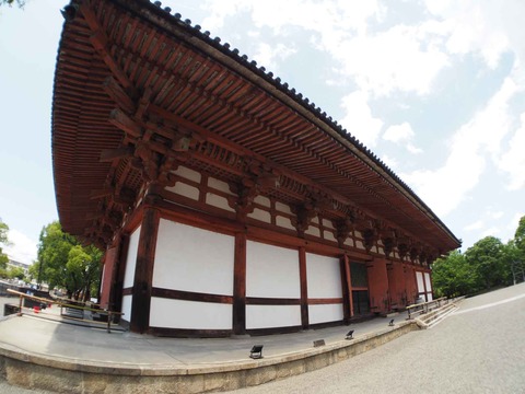 20230616東寺 (13)
