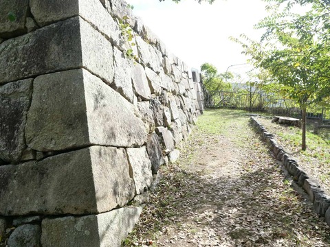 20241104淀城 (36)