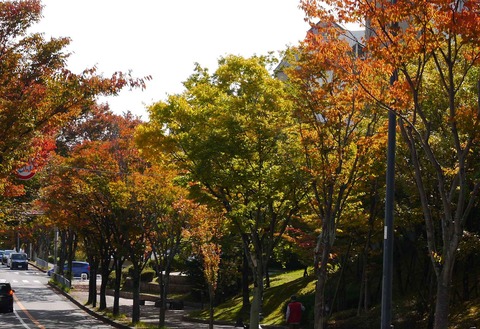 20201101koyo4