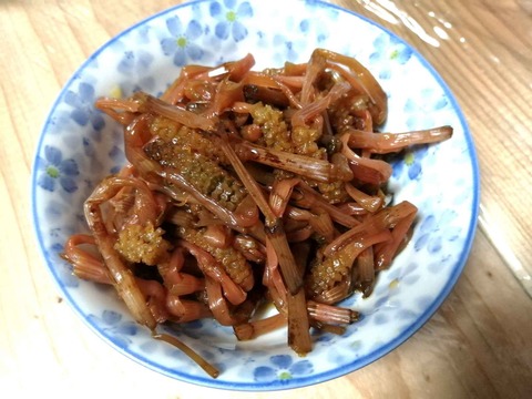 20240316つくし食材 (10)