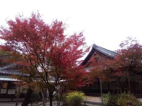 minasejingu2017aki_2