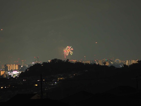 20220827なにわ淀川花火 (49)