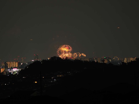 20220827なにわ淀川花火 (154)