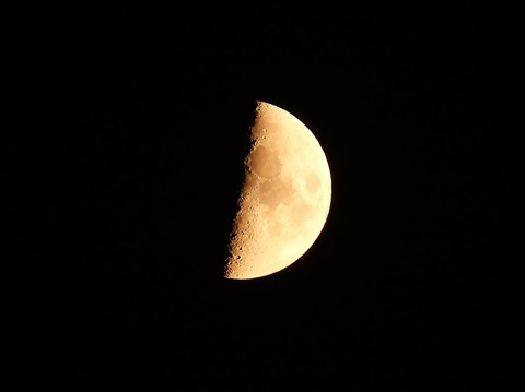 20260721月 (1)