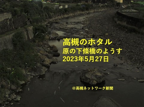 20230527ホタル表紙 (2)