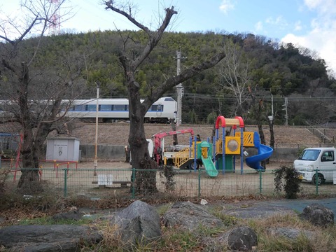 20260121上牧コスモス公園 (1)