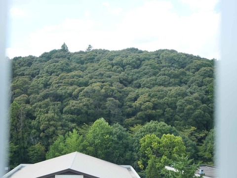 20240818園田城 (72)