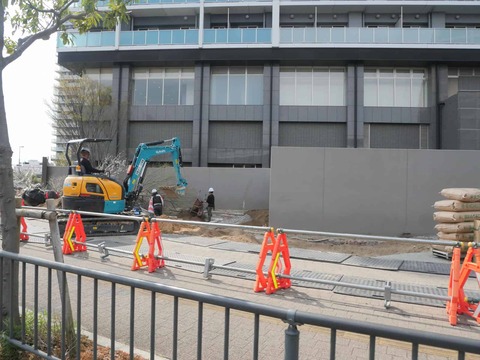 20260330桜植栽 (5)