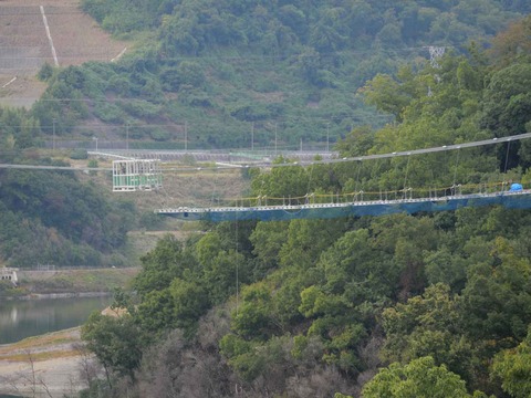 20241027吊り橋 (1)