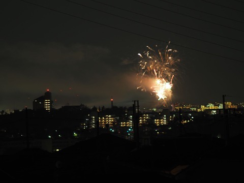 20221126万博花火 (50)