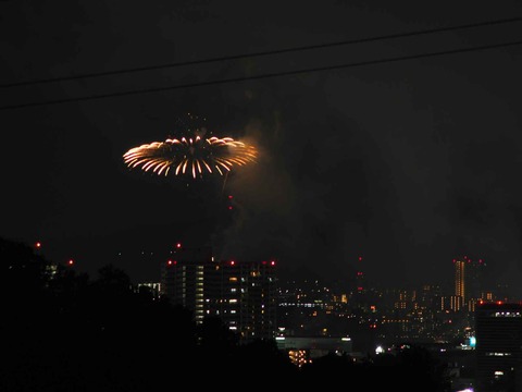 20220904くらわんか花火 (165)