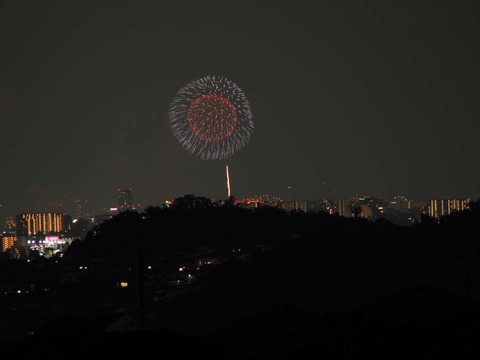 20220827なにわ淀川花火 (164)