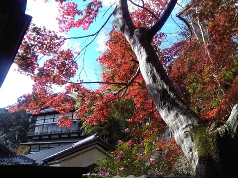 koyo2018_4