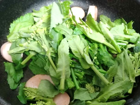 20240223のらぼうなな (4)