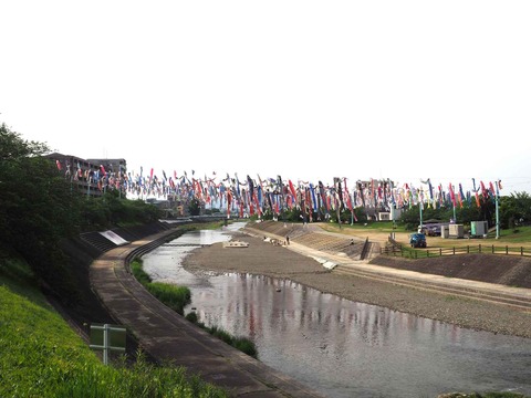 20240426こいのぼり (1)