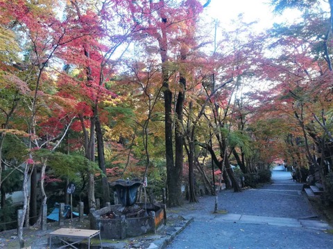 20211117神峯山寺 (5)