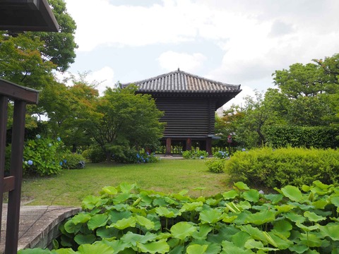 20230616東寺 (1)