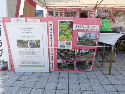 20241020都市緑化フェア (7)