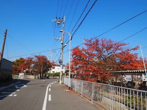 20221112筒井池公園