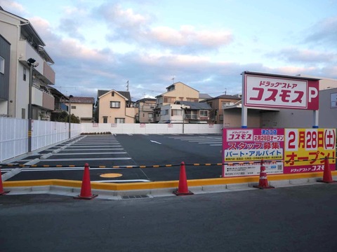 20260203コスモス (3)