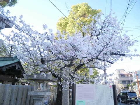 20260408永井神社 (23)