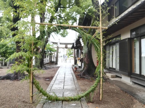 20240623野見神社花 (1)