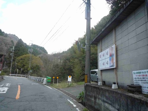 senkyo_kyoto2