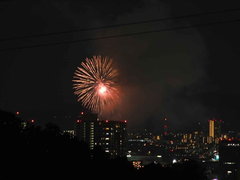 20220904くらわんか花火 (56)