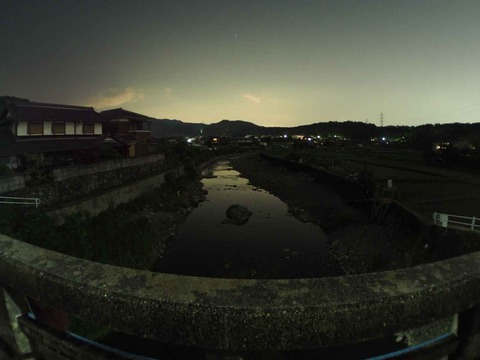 20220524ホタル (3)