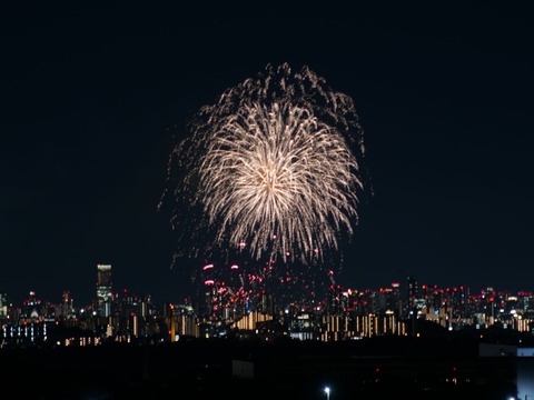 20240808辨天花火 (31)