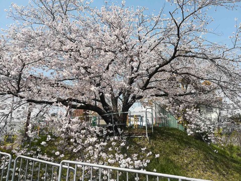sk_20190408_3